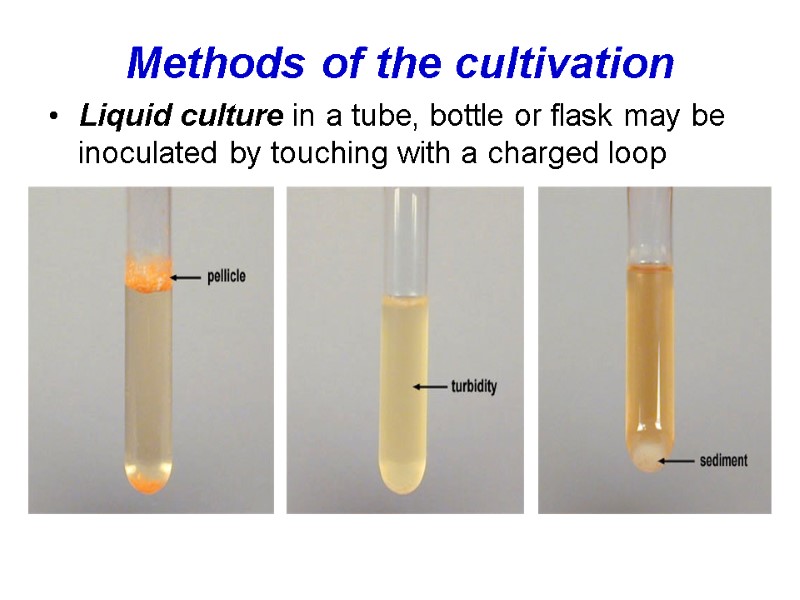 Methods of the cultivation Liquid culture in a tube, bottle or flask may be